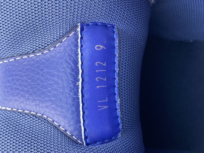 Loui Vuitto LV Skate Sneaker